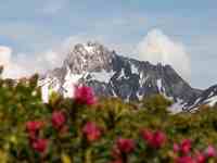 Hulp nodig: IET Clearance Algorithme 