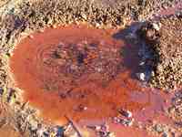 Hulp nodig bij Individuele Energetische Toxines