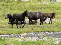 FAQ TFT VT: ook mogelijk op een buitenlocatie