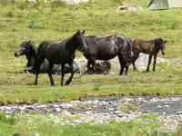 FAQ TFT VT: ook mogelijk op een buitenlocatie