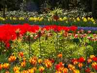 Voorbereidende informatie: op naar een goed resultaat Voorbereidende informatie: op naar een goed resultaat