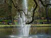 TFT in het kort: laat het leven stromen