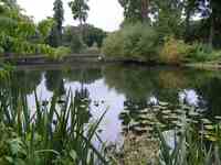 Thought Field Therapy brengt rust in de vijver