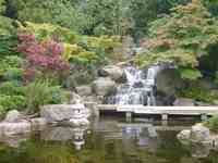 TFT behandelingen naar tevredenheid TFT behandelingen naar tevredenheid
