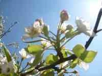 FAQ TFT Tracking: na de behandeling